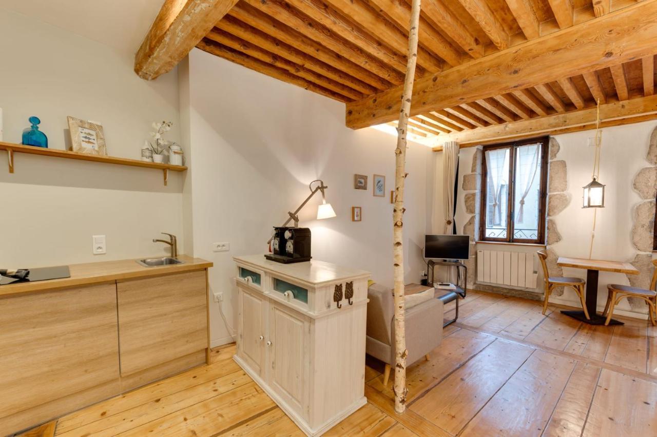 La Cour Filaterie - Suite Of 30 Sq M In The Annecy Breakfast Included Exterior photo